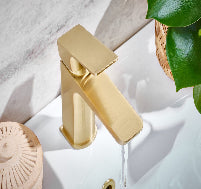 Gold faucet on a white sink with a plant in the background